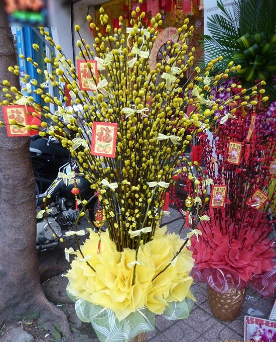 Guide to plug unique spring bud buds to play Tet Picture 7