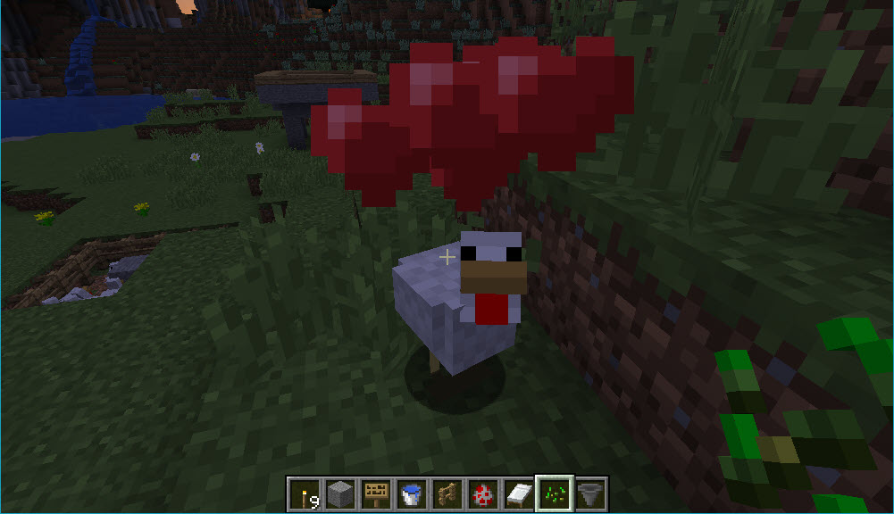 Guide to raise chickens in Minecraft effectively Picture 5