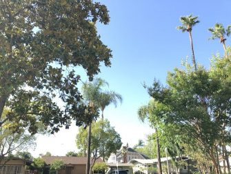 Guide to taking HDR photos on iPhone Picture 4