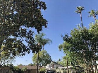 Guide to taking HDR photos on iPhone Picture 5