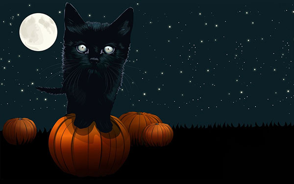 Halloween wallpapers for computers Picture 10