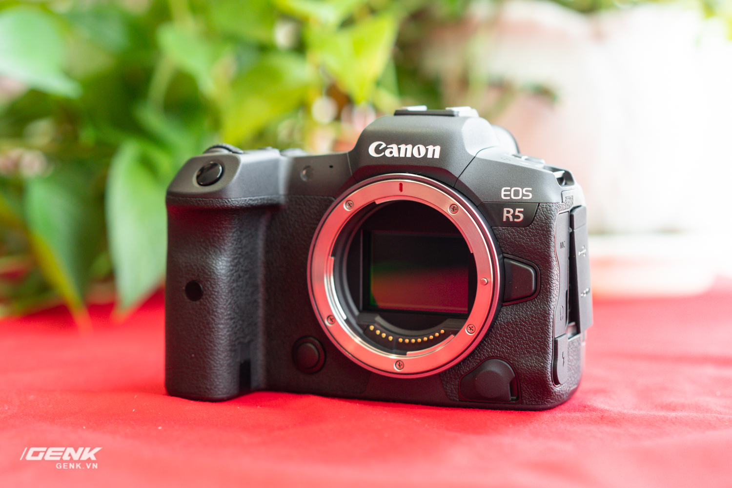 Hands-on camera duo Canon EOS R5 and R6: Configure powerful video Picture 11