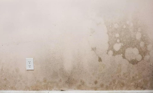 Health-threatening dangers are hiding right in your own home Picture 5