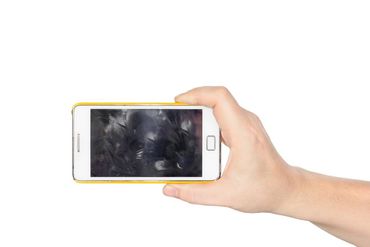 Help keep coronavirus off your phone: How to disinfect your device without damaging it Picture 3