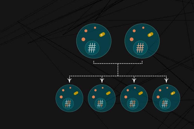 History of Earth formation and 25 milestones (Part I) Picture 6