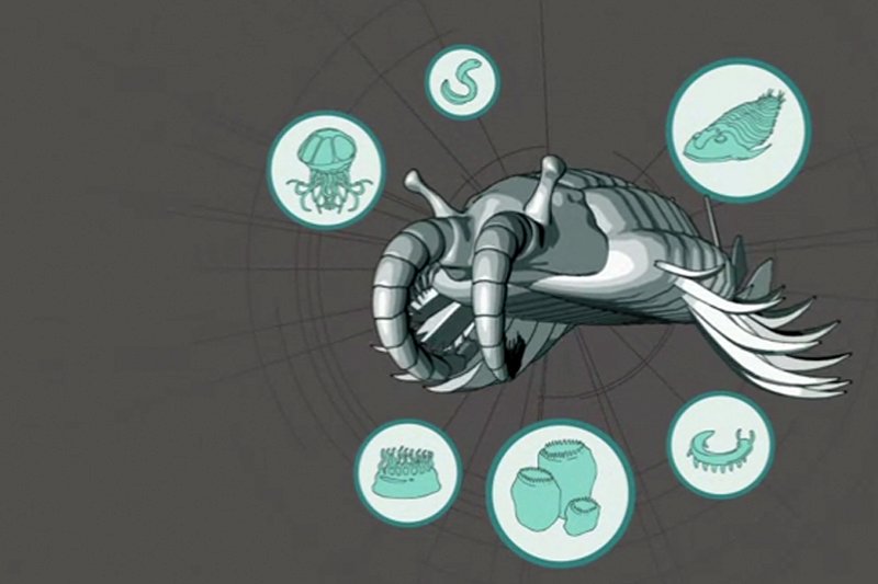 History of Earth formation and 25 milestones (Part I) Picture 9