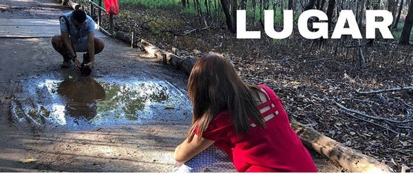 'Holy' Photoshop transforms dry leaves into landscapes, the lake's shallow water makes many people astonished Picture 15