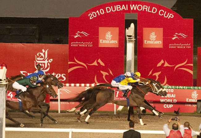 Horses and incredible records surprise you Picture 5