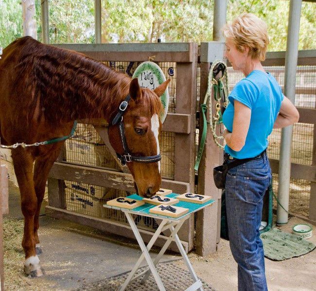 Horses and incredible records surprise you Picture 6