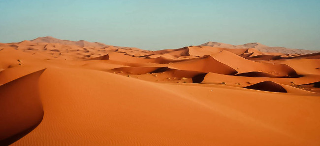 How are different deserts and deserts? Picture 5