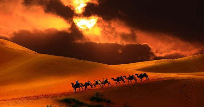 How are different deserts and deserts? Picture 6