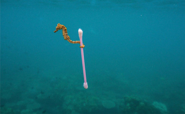 How are people using plastic to destroy nature? Picture 4