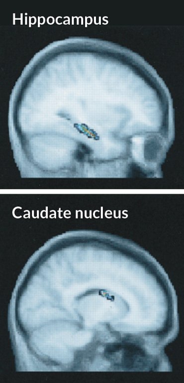 How can smartphones change our way of thinking? Picture 5