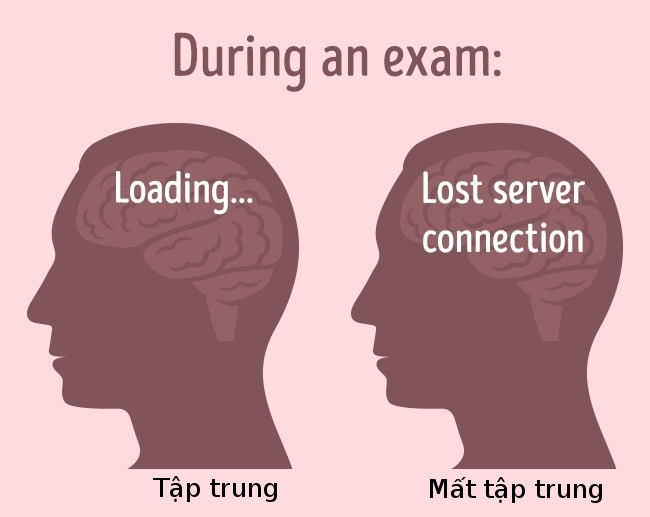 How does daily activities affect the brain? Picture 3