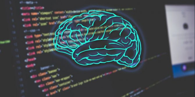 How does programming affect our brains? Picture 1