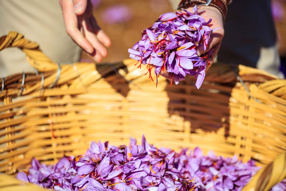 How much does the flower pistil cost? Where to buy quality assurance? Picture 5