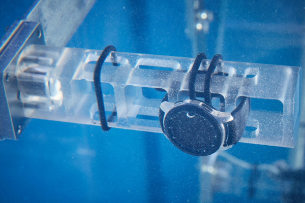 How must Samsung's smartphones and smartwatch go through a rigorous quality control process? Picture 5