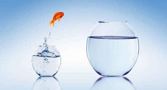 How to accomplish a good job when you're bored and not interested? Picture 10