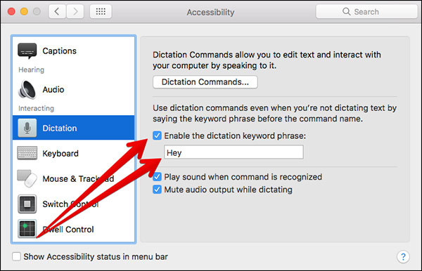 How to activate Hey Siri on macOS Sierra Picture 4