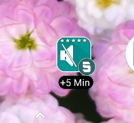 How to activate non-disturbing mode on Android Picture 6