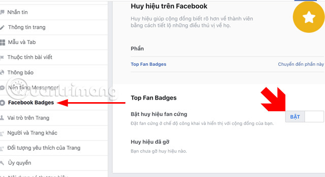 How to activate the Fan Fan badge for Facebook Fanpage Picture 5