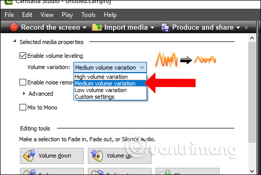 How to adjust video audio on Camtasia Studio Picture 15