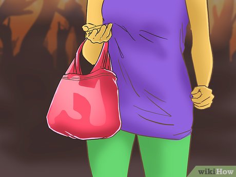 How to Attend a Concert Picture 22