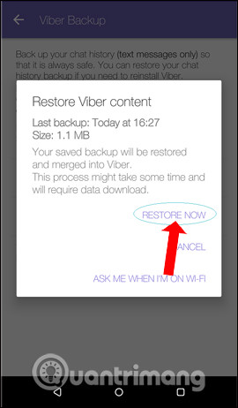 How to backup and restore messages on Viber Picture 9
