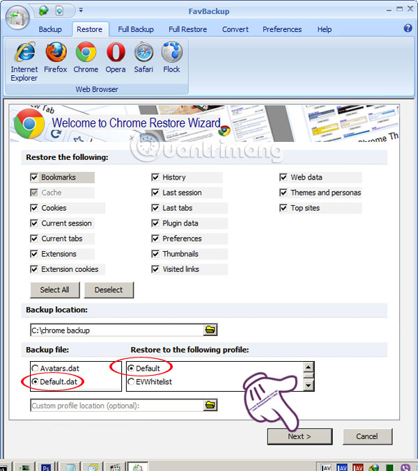 How to backup and restore web data with FavBackup Picture 4