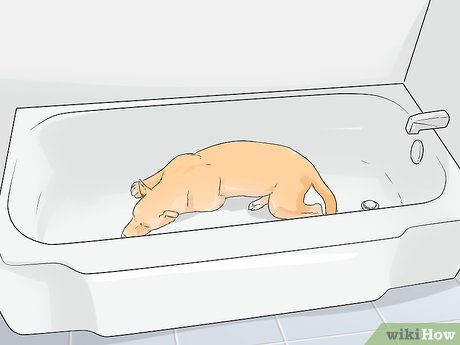 How to Be Safe With Fireworks Picture 9