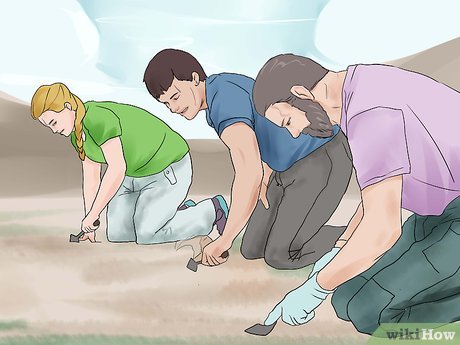 How to Become a Curator Picture 11