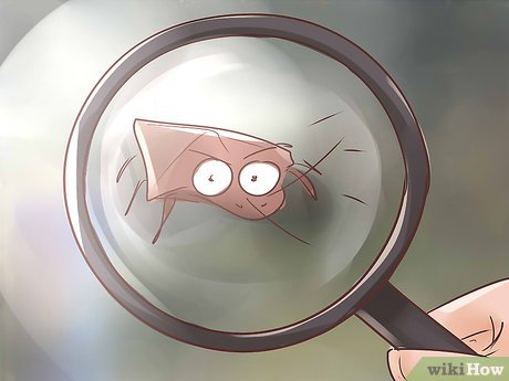 How to Become a Mobile Application Developer Picture 10