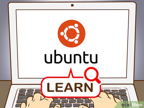 How to Become a Programmer Picture 62