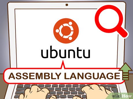 How to Become a Programmer Picture 65