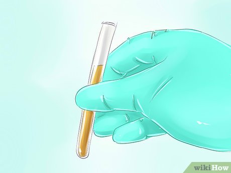 How to Become a Scholar Picture 24