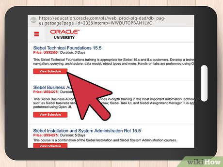 How to Become an Oracle Consultant Picture 6