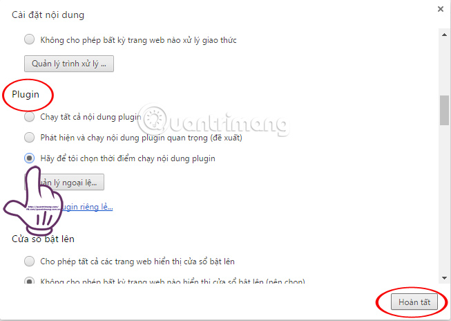 How to block Flash from accelerating Chrome browser Picture 4