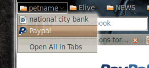 How to block phishing attacks in Firefox 3 Picture 3