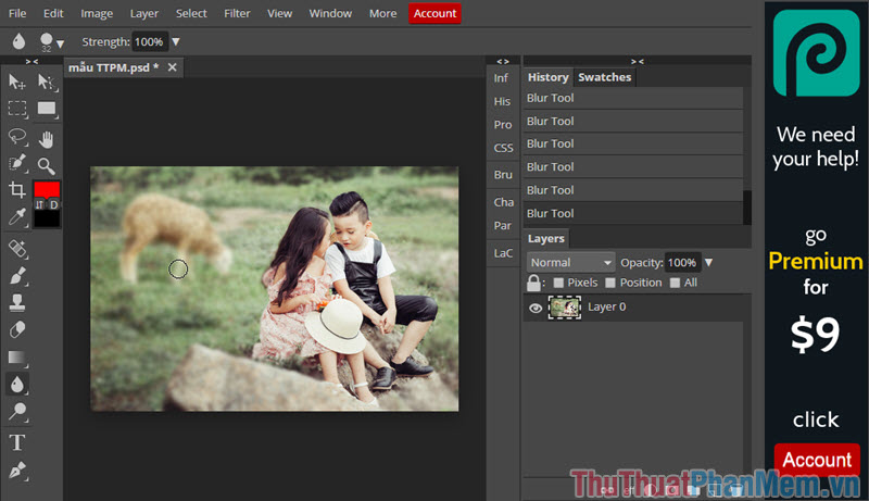 How to blur an image online with Photoshop Online Picture 7