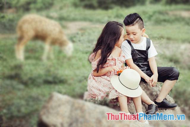 How to blur an image online with Photoshop Online Picture 9