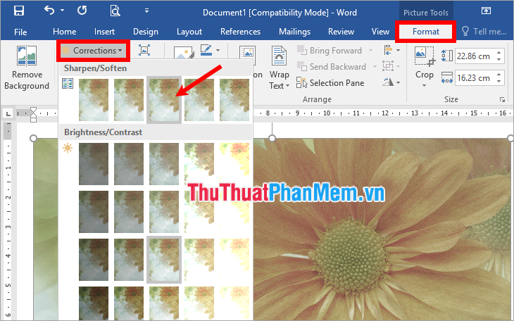 how-to-blur-images-in-word