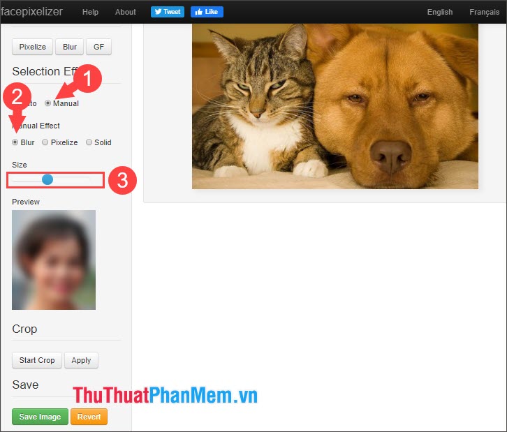 How to blur images online Picture 10