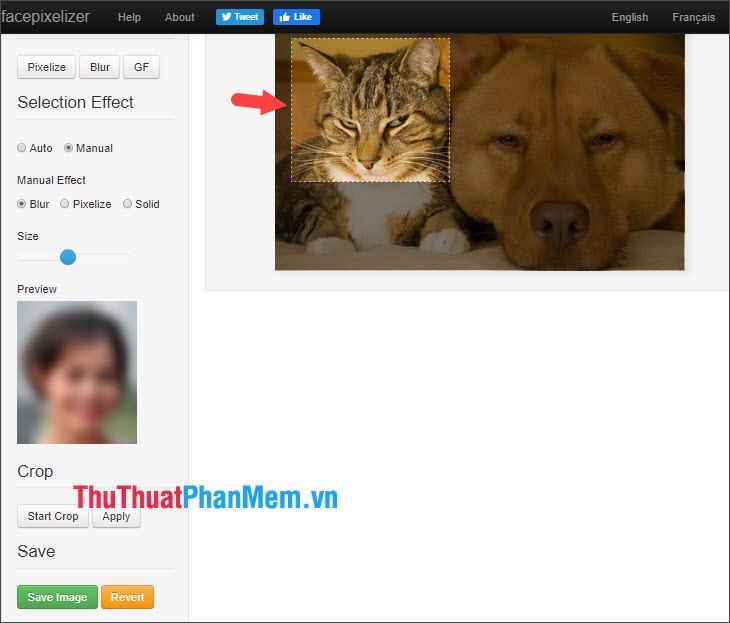 How to blur images online Picture 11