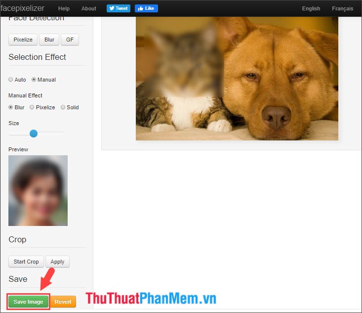 How to blur images online Picture 12