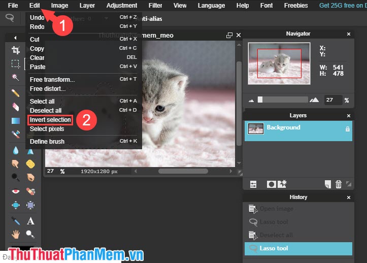How to blur images online Picture 16