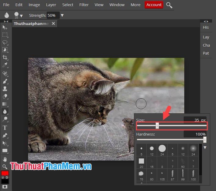 How to blur images online Picture 5