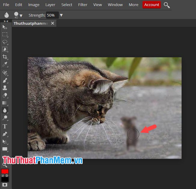 How to blur images online Picture 6