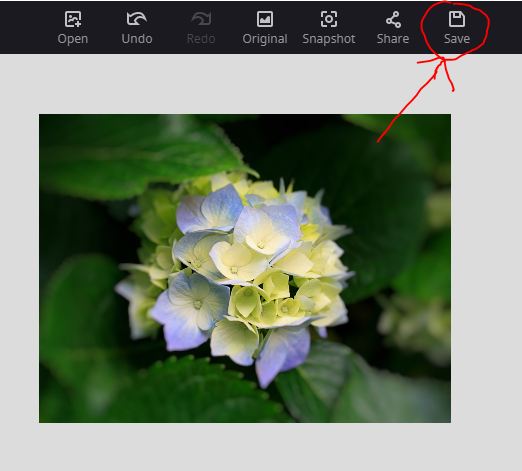 How to blur images online with Pixlr E and Fotor tools Picture 14