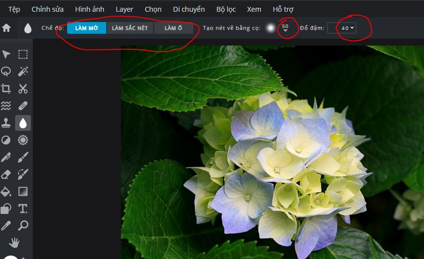 How to blur images online with Pixlr E and Fotor tools - TipsMake.com