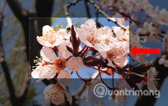 How to blur photos with Image Blur Picture 2